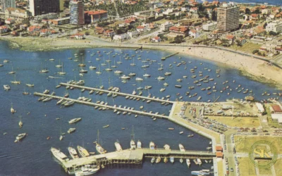 Punta del este: Crónica de una ciudad a la moda