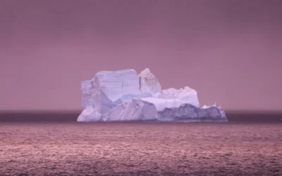 Paola Marzotto: La belleza que se derrite